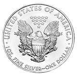 American Silver Eagle Coin  